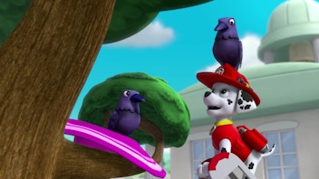 PAW Patrol - Helfer auf vier Pfoten Das Krähennest