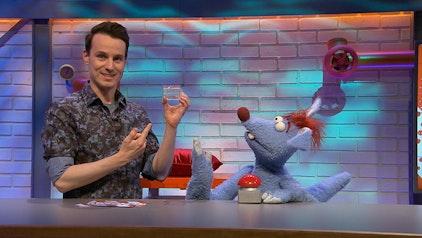 Woozle Goozle Luft & Schönheit