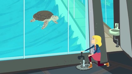 Lexi & Lottie - Detektive im Doppelpack Sammy, die Schildkröte