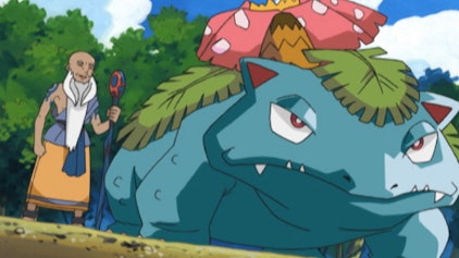 Pokémon: Battle Frontier Natürlich Natur!