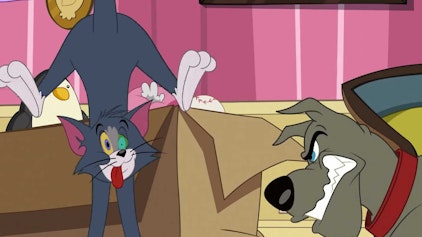 Die Tom und Jerry Show Tom, das Hundespielzeug