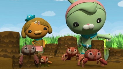 Die Oktonauten Die Oktonauten und die Flusskrebse