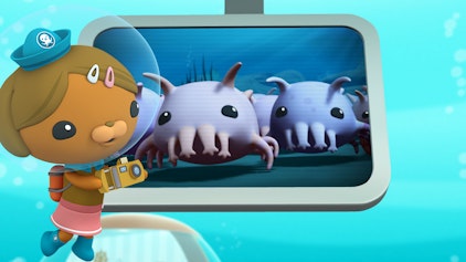 Das Okto-Lied Lied: Seeschweine