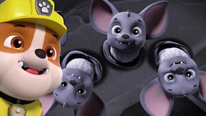 PAW Patrol - Kurze Clips Kinder vs. Kätzchen