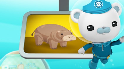 Das Okto-Lied Flusspferde