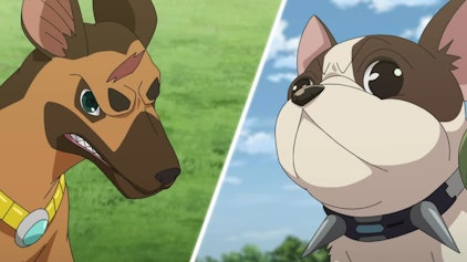 Bakugan: Evolutions Lightnings luxuriöses Hundeleben