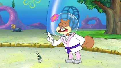 SpongeBob Schwammkopf Plankton lernt Karate