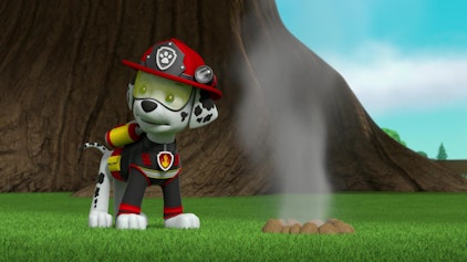 PAW Patrol - Helfer auf vier Pfoten Das olympische Feuer