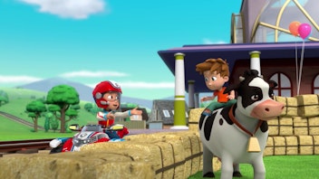 PAW Patrol - Helfer auf vier Pfoten Bauer Alex braucht Hilfe