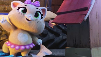 44 Cats Die Angstkatze