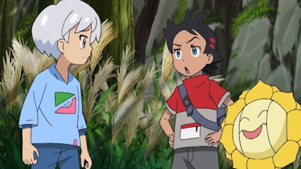 Pokémon Reisen: Die Serie / 23 Ein ums andere Mal!