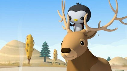 Die Oktonauten auf dem Festland Der neugierige Pinguin