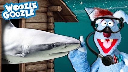 Woozle Goozle Wüste & Haie