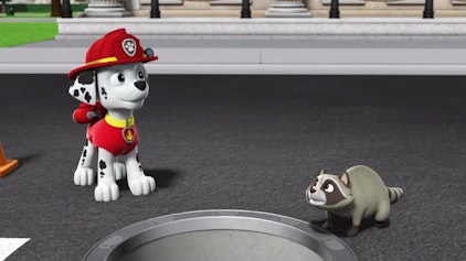 PAW Patrol - Kurze Clips Rasende Rollschuhe