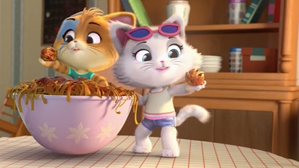 44 Cats Katzenfallen