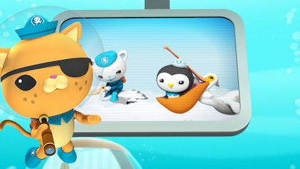 Das Okto-Lied Die Pelikane