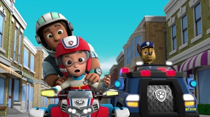 PAW Patrol - Helfer auf vier Pfoten Drei Vögel auf Reisen