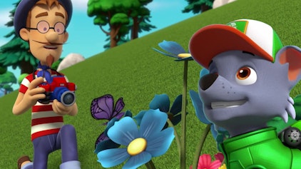 PAW Patrol - Kurze Clips Die rollende Gefahr