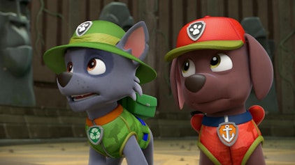 PAW Patrol - Helfer auf vier Pfoten Hier kommt Tracker