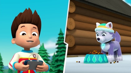 PAW Patrol - Helfer auf vier Pfoten Der versteckte Schatz