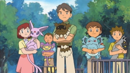 Pokémon: Advanced Battle Mehr Schein als Sein?