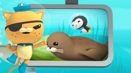 Das Okto-Lied Der Seehund