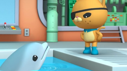 Die Oktonauten Die Oktonauten und das Delphinbaby