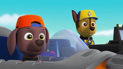 PAW Patrol - Kurze Clips Delfin-Surfen