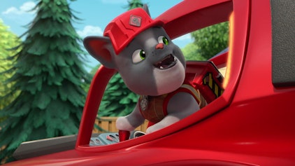 Rubble & Crew Die Crew baut einen Super-Sause-Eichhörnchen-Parcours