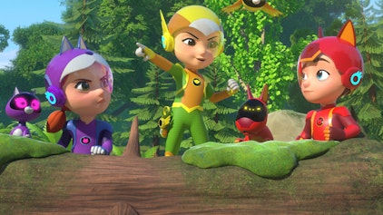 Petronix Defenders Waschbären-Rettung