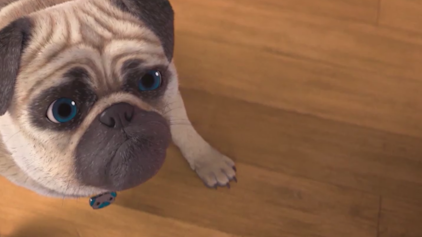 Mighty Mops Wer ist hier der Boss?