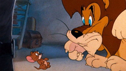 Tom und Jerry Tom und die Löwennummer