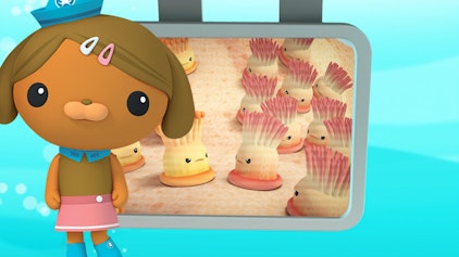 Das Okto-Lied Die Anemonen