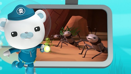 Das Okto-Lied Die Baumhummer