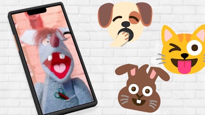 Woozle Shorts Haustiere, wenn ihre Besitzer nach Hause kommen