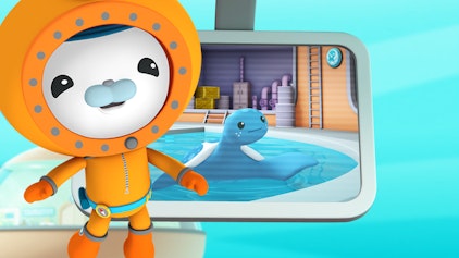 Das Okto-Lied Die Lederschildkröte