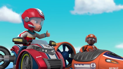 PAW Patrol - Helfer auf vier Pfoten Ein Schwimmtier in Not