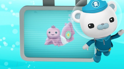 Das Okto-Lied Die Seegurke