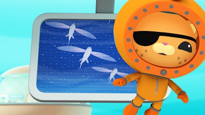 Das Okto-Lied Die Fliegenden Fische