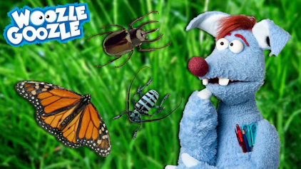 Woozle Goozle Insekten & Schokolade