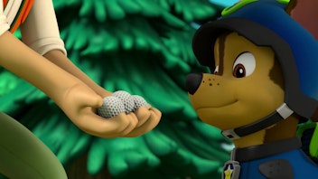 PAW Patrol - Helfer auf vier Pfoten Die Schildkröten-Eier