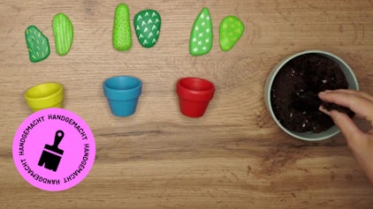 GEOLINO TV - Kurze Clips 8: Stein-Kakteen