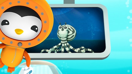 Das Okto-Lied Der Mimik Oktopus