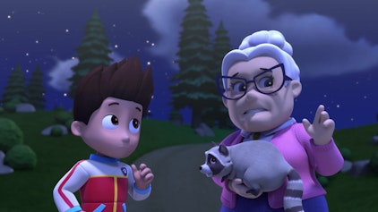 PAW Patrol - Helfer auf vier Pfoten Rocky, der Werwelpe