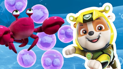 PAW Patrol - Helfer auf vier Pfoten Die Aqua-Hunde retten das Riff