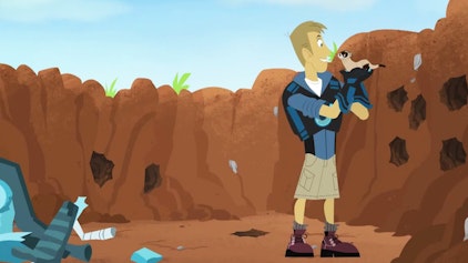 Go Wild! - Mission Wildnis Bandito, der Schwarzfußiltis