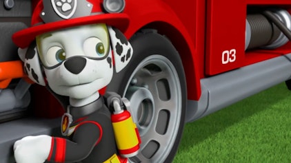 PAW Patrol - Kurze Clips Ein filmreifer Auftritt