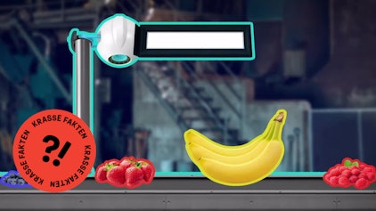 GEOLINO TV - Kurze Clips 19: Bananen sind Beeren - Erdbeeren aber nicht