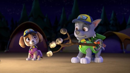 PAW Patrol - Helfer auf vier Pfoten Die Pfotenfinder