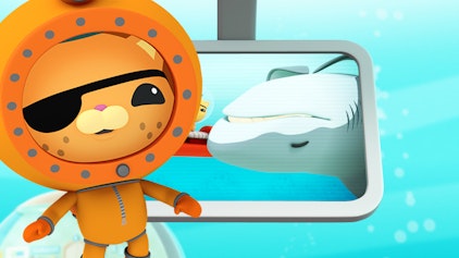 Das Okto-Lied Der Weisse Hai